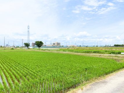 市街化調整区域　売却　土地